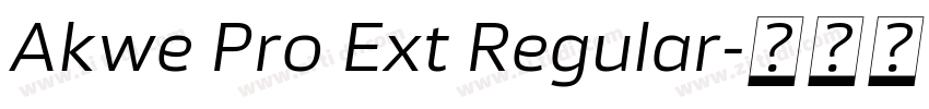 Akwe Pro Ext Regular字体转换